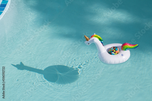 Swimming pool unicorn