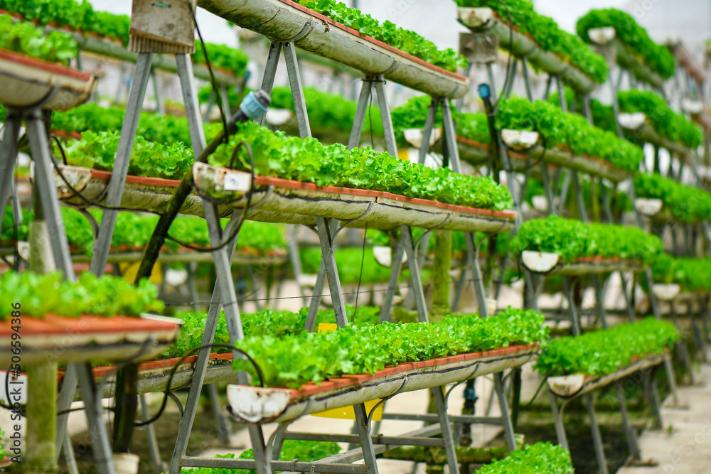 Modern farming using rack to save space