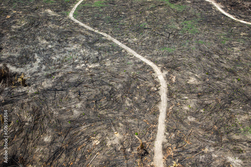 Deforestation of the Amazon rainforest. Patch of forest burnt to the ground. Environment, ecology, climate concepts.