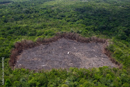 Foto Deforestation of the Amazon rainforest