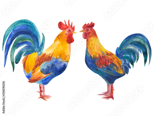 Watercolor illustration with roosters