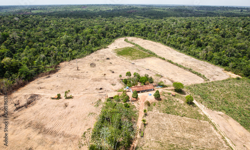Deforestation of the Amazon rainforest. Patch of forest land cleared of vegetation for agricultural purposes. Environment, ecology, climate concepts.