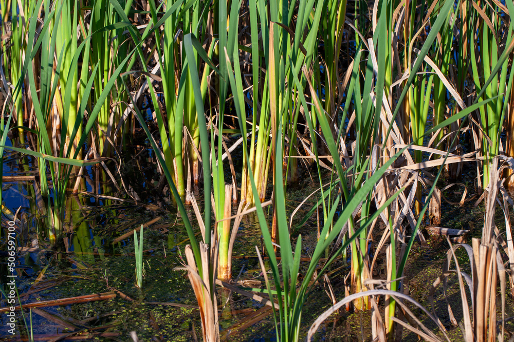 water in the lake in calm, windy weather water in the lake in calm, windy weather