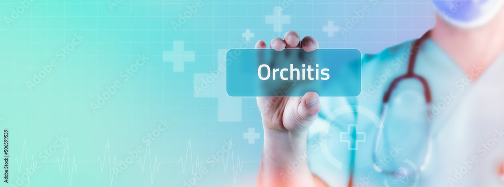 Orchitis (Hodenentzündung). Arzt hält virtuelle Karte in der Hand. Medizin digital Orchitis (Hodenentzündung). Arzt hält virtuelle Karte in der Hand. Medizin digital
