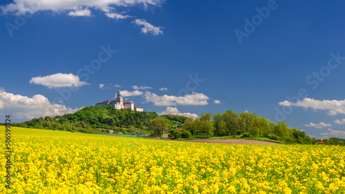 Pannonhalma Archabbey with canola, rapeseed field photo