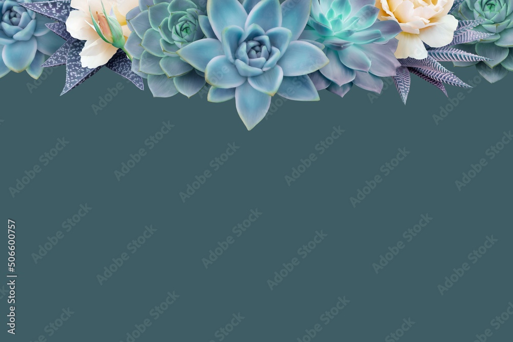 Naklejka premium Floral banner, header with copy space. Succulents and roses isolated on dark background. Natural flowers wallpaper or greeting card.