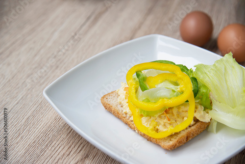 Sandwich egg with fresh vegetables salad breakfast background