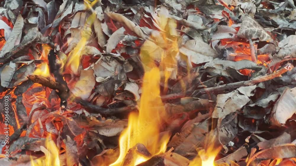 Close-up of a very hot garden bonfire with bright orange-yellow intense flames and red hot embers from the burnt leaves. Global warming concept. Close-up of a very hot garden bonfire with bright orange-yellow intense flames and red hot embers from the burnt leaves. Global warming concept.