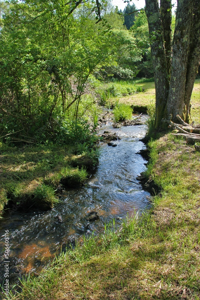 Petit ruisseau. Petit ruisseau.