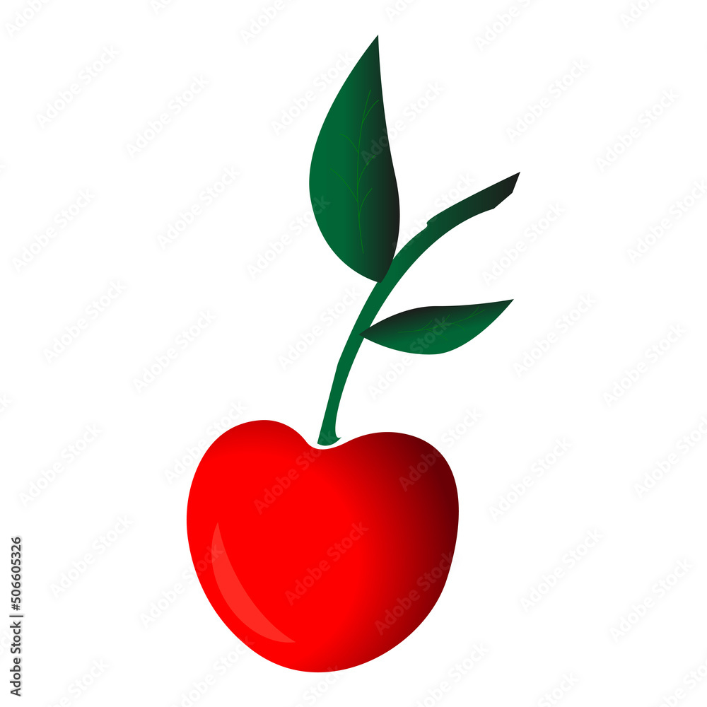 cherry vector. cherry drawing in vector. fruits in vector. vector drawings. cherry drawing. beautiful cherry. cherry vector. cherry drawing in vector. fruits in vector. vector drawings. cherry drawing. beautiful cherry.