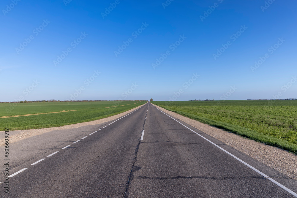 an asphalt road along which green plants