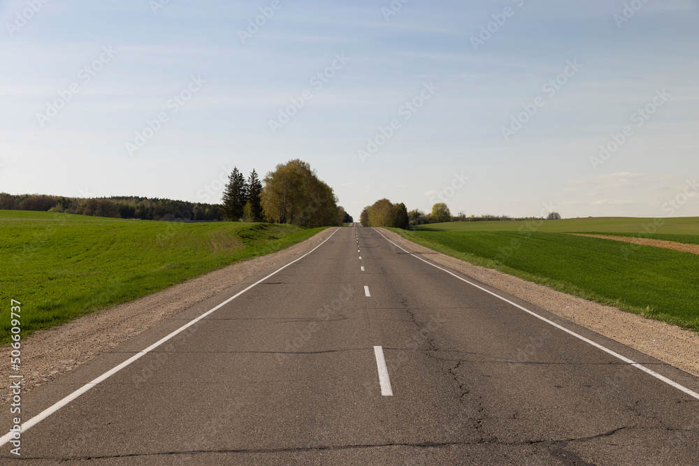 Fototapeta premium an asphalt road along which green plants