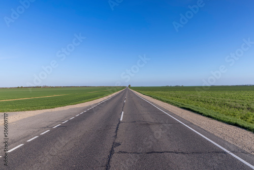 an asphalt road along which green plants © rsooll