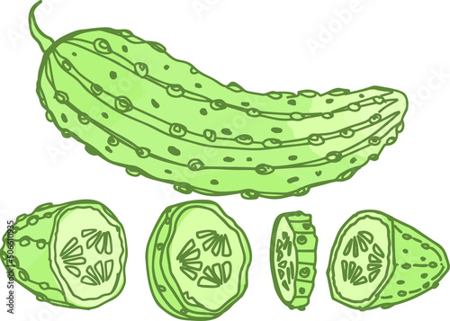 cucumber