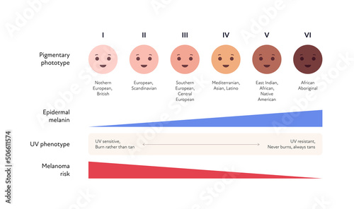 Summer skin care and sunscreen protection concept. Vector flat healthcare illustration. Melanin and melanoma risk chart for pigrmentary skin phototype and uv phenotype.