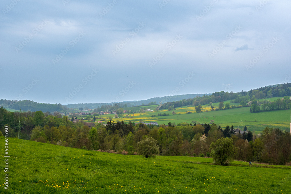 landscape with trees and clouds