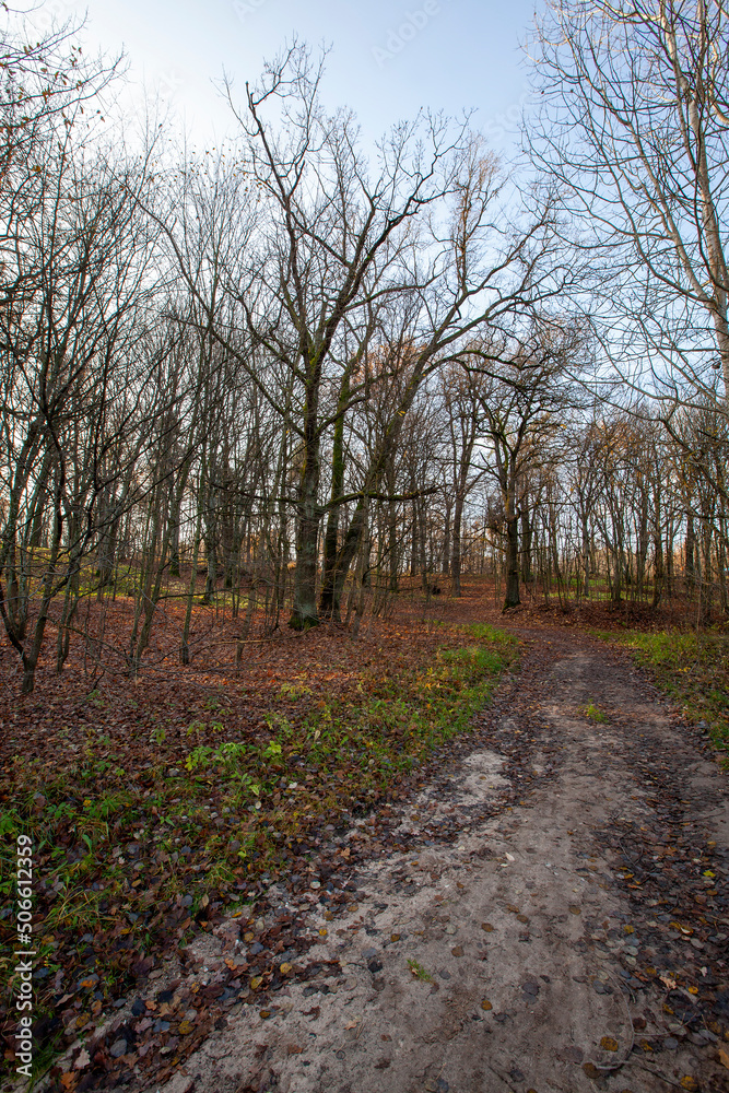 changes in nature during the autumn season changes in nature during the autumn season