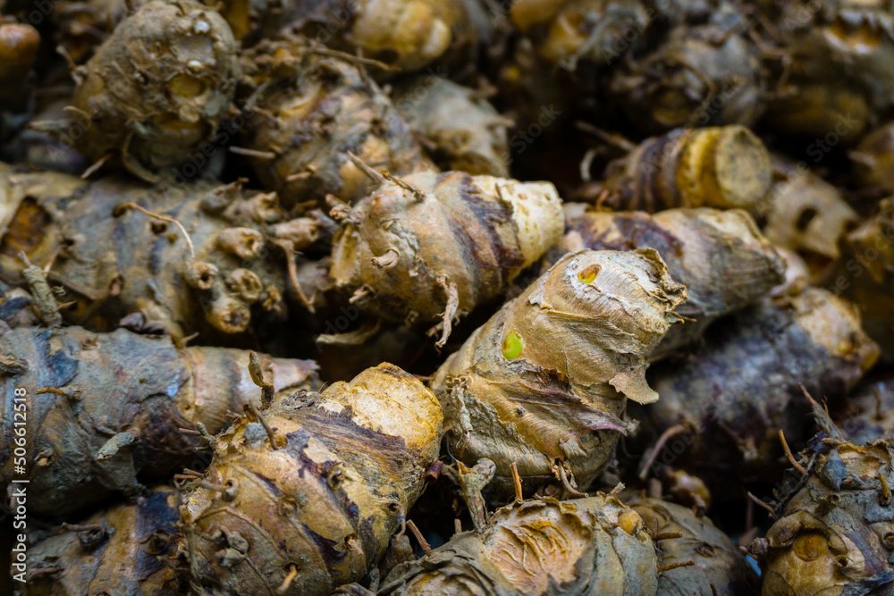 A close up shot of raw Turmeric root with skin post harvest.Uttarakhand India. Turmeric has shown anti-inflammatory properties that could prevent chronic inflammation and therefore such diseases. A close up shot of raw Turmeric root with skin post harvest.Uttarakhand India. Turmeric has shown anti-inflammatory properties that could prevent chronic inflammation and therefore such diseases.