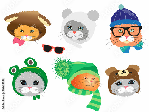 Photography set of vector cartoon cat, sticker clipart