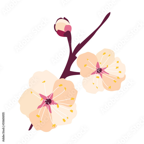 A sprig with plum flowers. It's springtime. Vector illustration in hand-drawn style on a white background