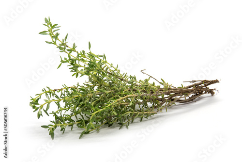 Bunch of fresh organic thyme in white background