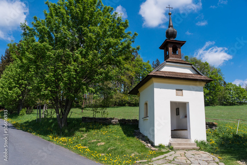 Принти на полотні Baroque chapel with wooden roof in beautiful green nature