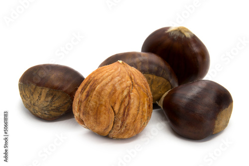 Groupe of chestnut edible isolated on white
