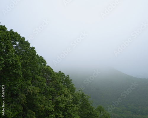 霧に包まれた新緑の藻岩山の風景 / Scenery of fresh green Mt. Moiwa surrounded by fog