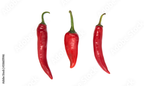 Red chili pepper in a white background