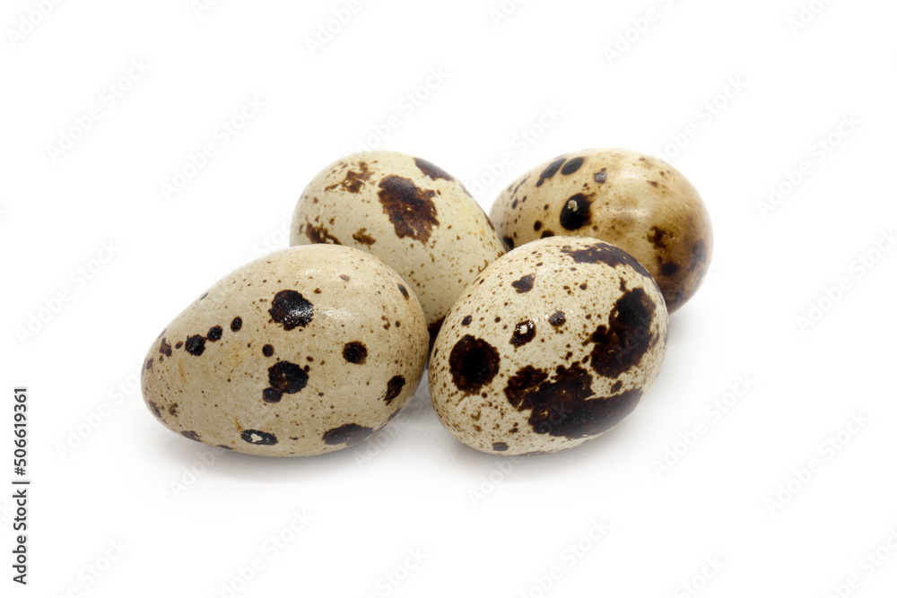 Set of four quail eggs on the white background