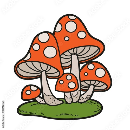 Poisonous fly agaric on moss color variation for coloring page isolated on white background