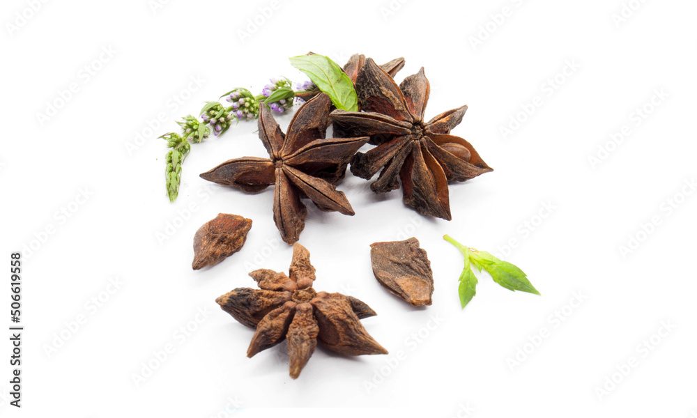 Star Anise & menthe leaf on white background
