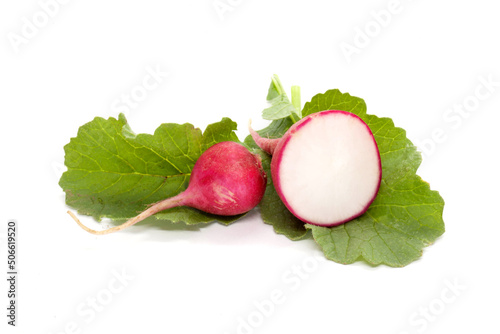 Small garden radish and slice isolated on white