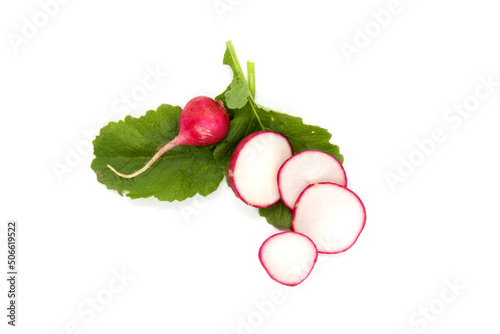 Small garden radish and slices isolated on white background