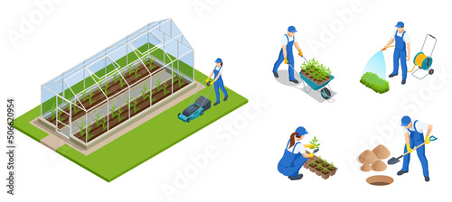 Isometric gardeners, farmers and workers caring for the garden, growing agricultural products. Rows of plants growing inside big industrial greenhouse. Industrial agriculture.