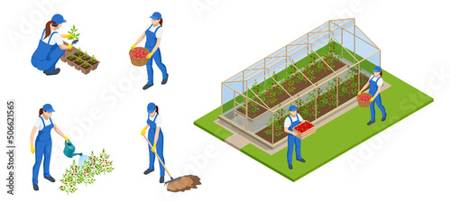Isometric gardeners, farmers and workers caring for the garden, growing agricultural products. Rows of plants growing inside big industrial greenhouse. Industrial agriculture.