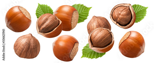Hazelnut set isolated on white background. Nuts in nutshell with leaves.