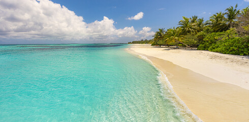 Island palm tree sea sand beach. Exotic beach landscape. Inspire tropical beach seascape horizon. Sunny blue sky beautiful relax calm summer mood. Vacation travel holiday banner, luxury destination