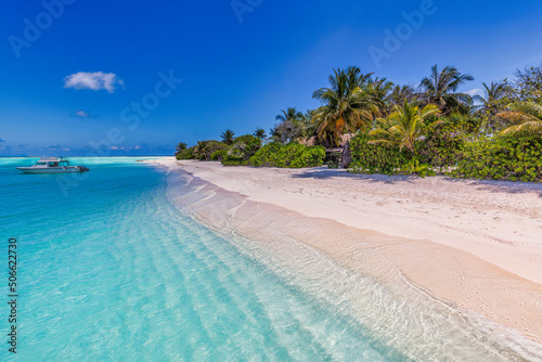 Island palm tree sea sand beach. Exotic beach landscape. Inspire tropical beach seascape horizon. Sunny blue sky beautiful relax calm summer mood. Vacation travel holiday banner, luxury destination