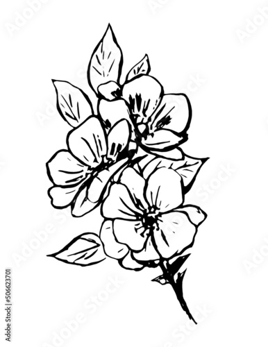 black outline of a bouquet of flowers on a white background