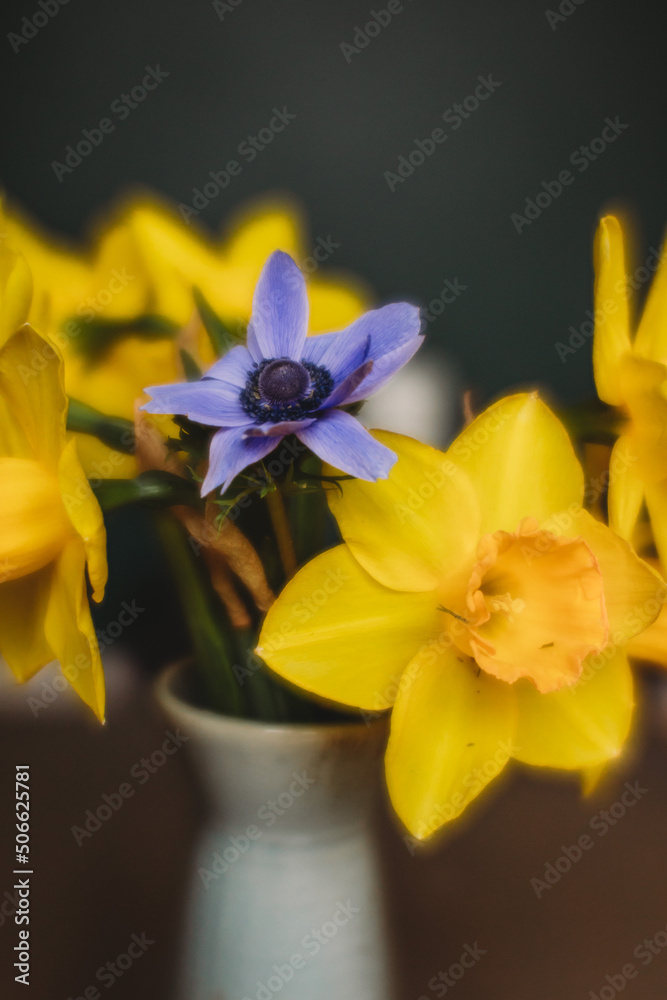 yellow daffodils in a blue vase