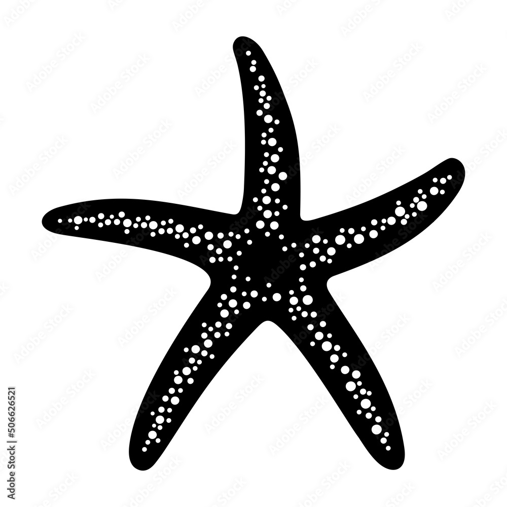 Sketch starfish on a white background. Vector isolated illustration. Sketch starfish on a white background. Vector isolated illustration.