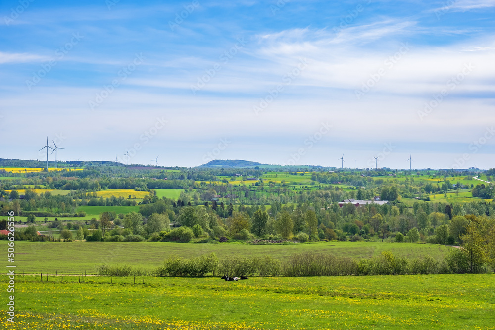 Rural landscape view at springtime