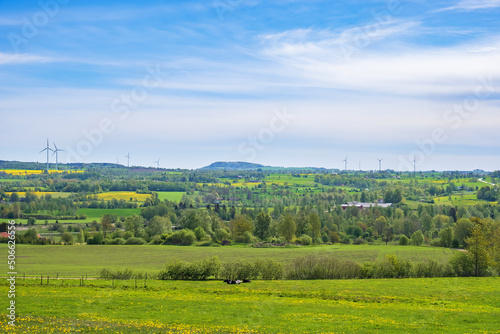 Rural landscape view at springtime