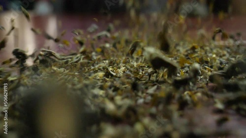A rain of green tea