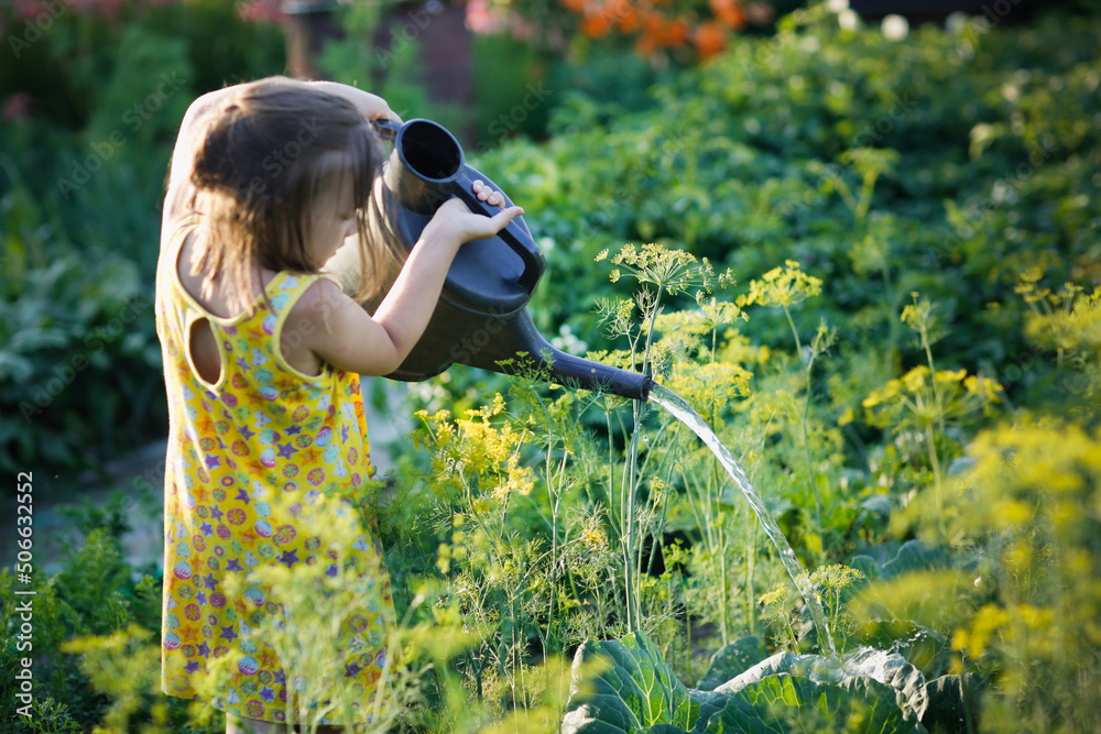 cute kid girl with big watering can waters beds in garden in summer