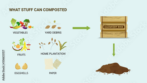Compost stuff item infographic. what to compost things like vegetables, fruits, paper, yard debris and egg shells. Composting illustration in flat style, vector illustration. 