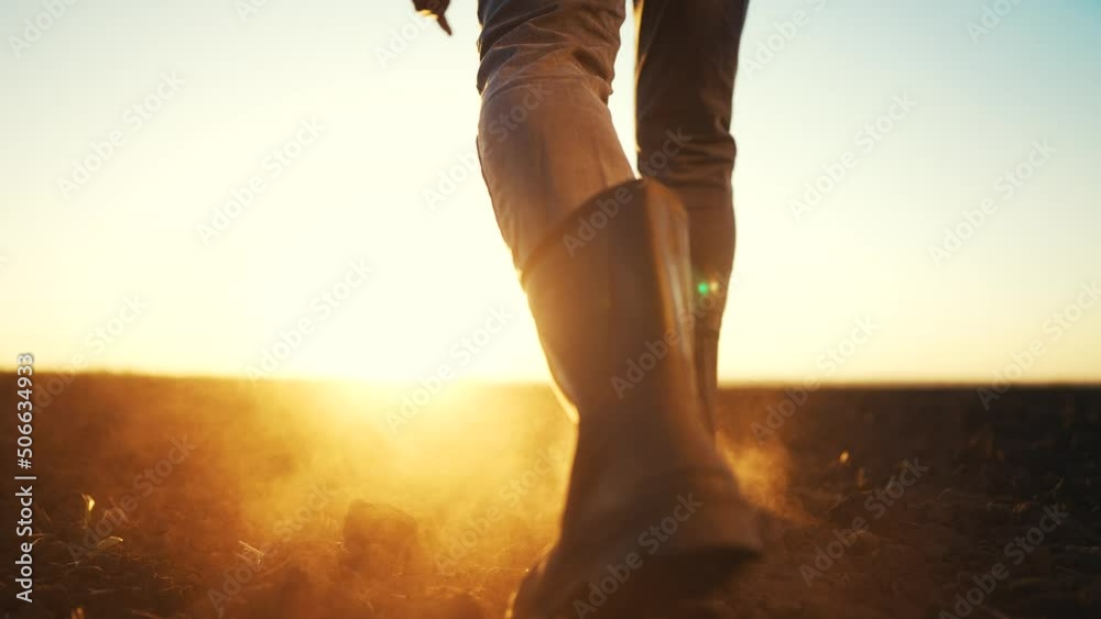 farmer feet walks across a black field. agriculture business concept. silhouette of a farmer feet at sunset walking across a black plowed field. farmer in rubber boots legs lifestyle close-up
