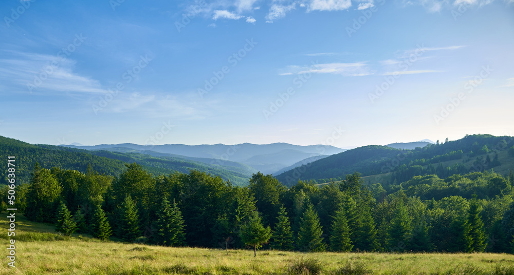 Forest landscape in mountains with meadow