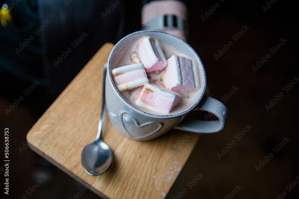 Cocoa with marshmallows. Serving cocoa in a cafe Cocoa with marshmallows. Serving cocoa in a cafe